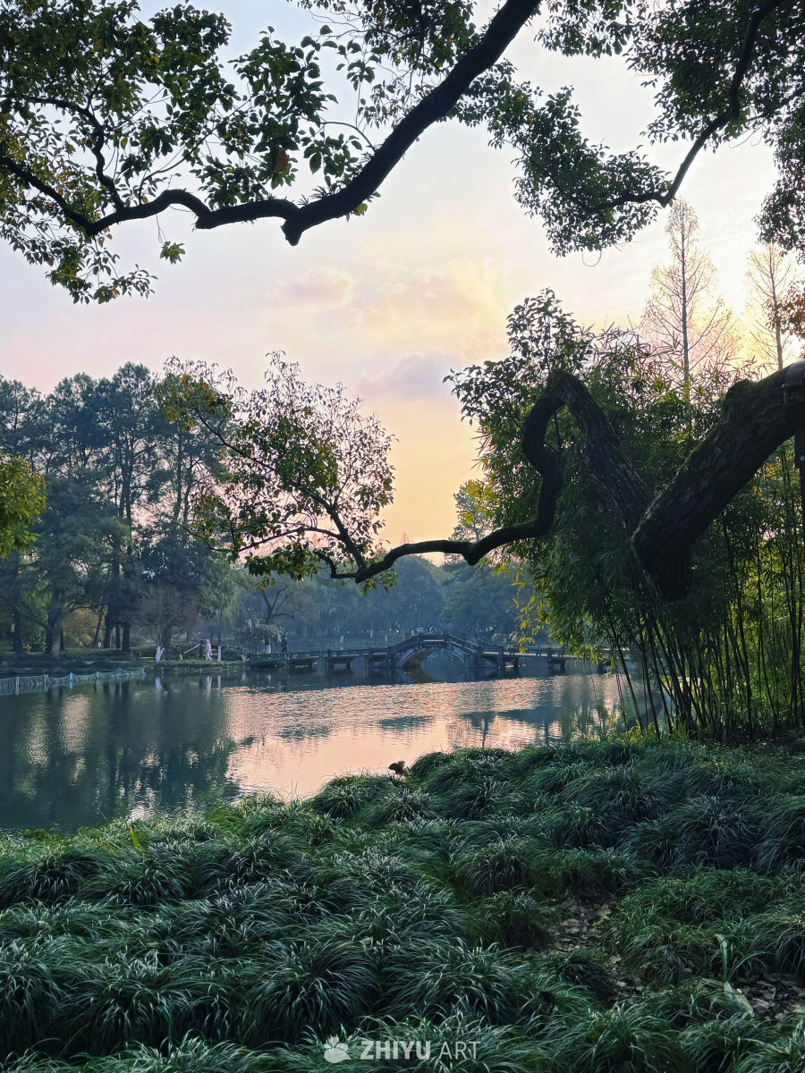 暮色曲桥树影斜