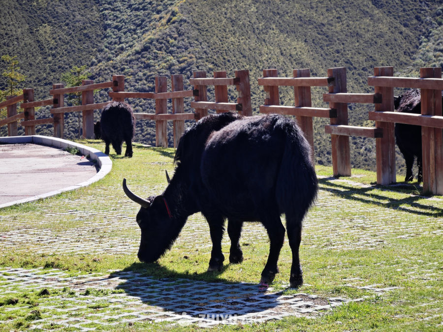 互助北山森林公园