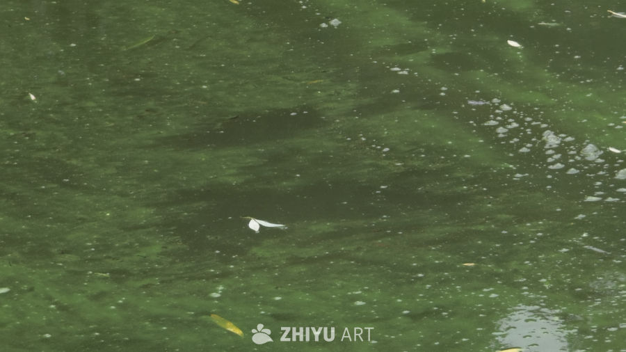 雨后的湖面