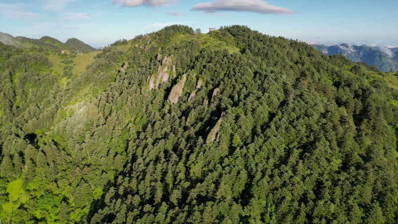 航拍湖北神农架大山石林