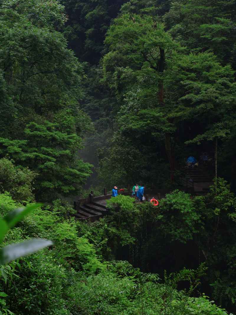 大山深处