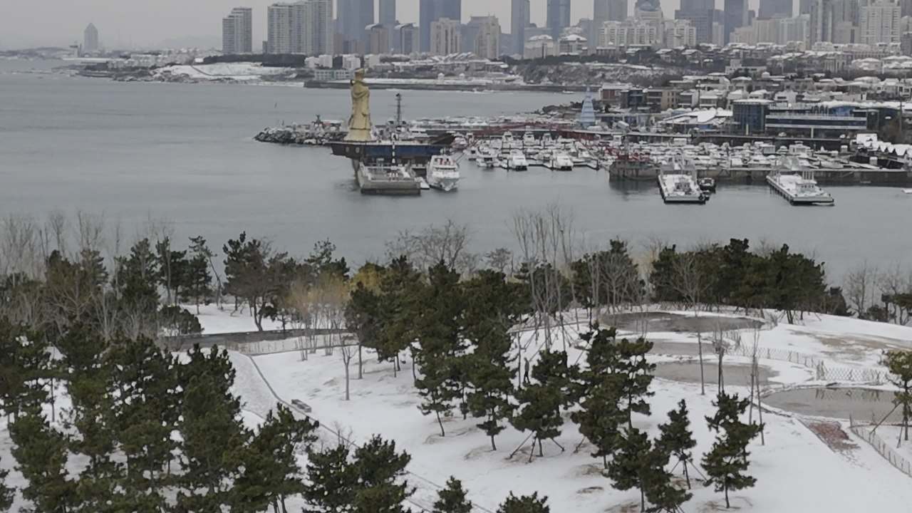青岛小麦岛海边雪景航拍 9