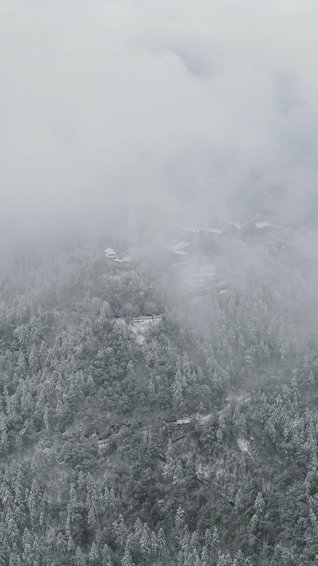 雪中森林与云雾