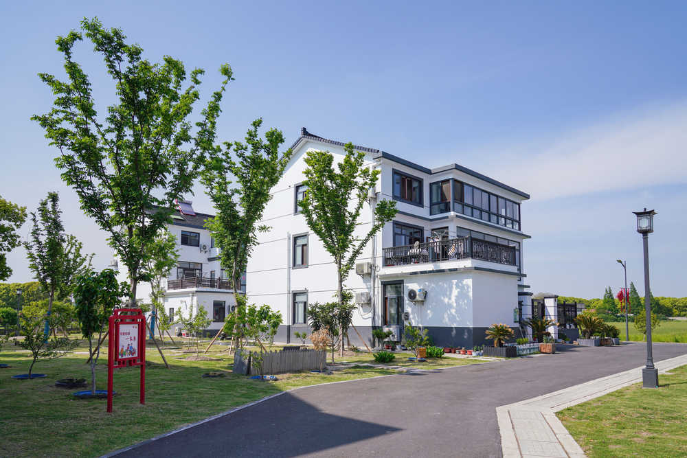 乡村振兴新风貌新农村