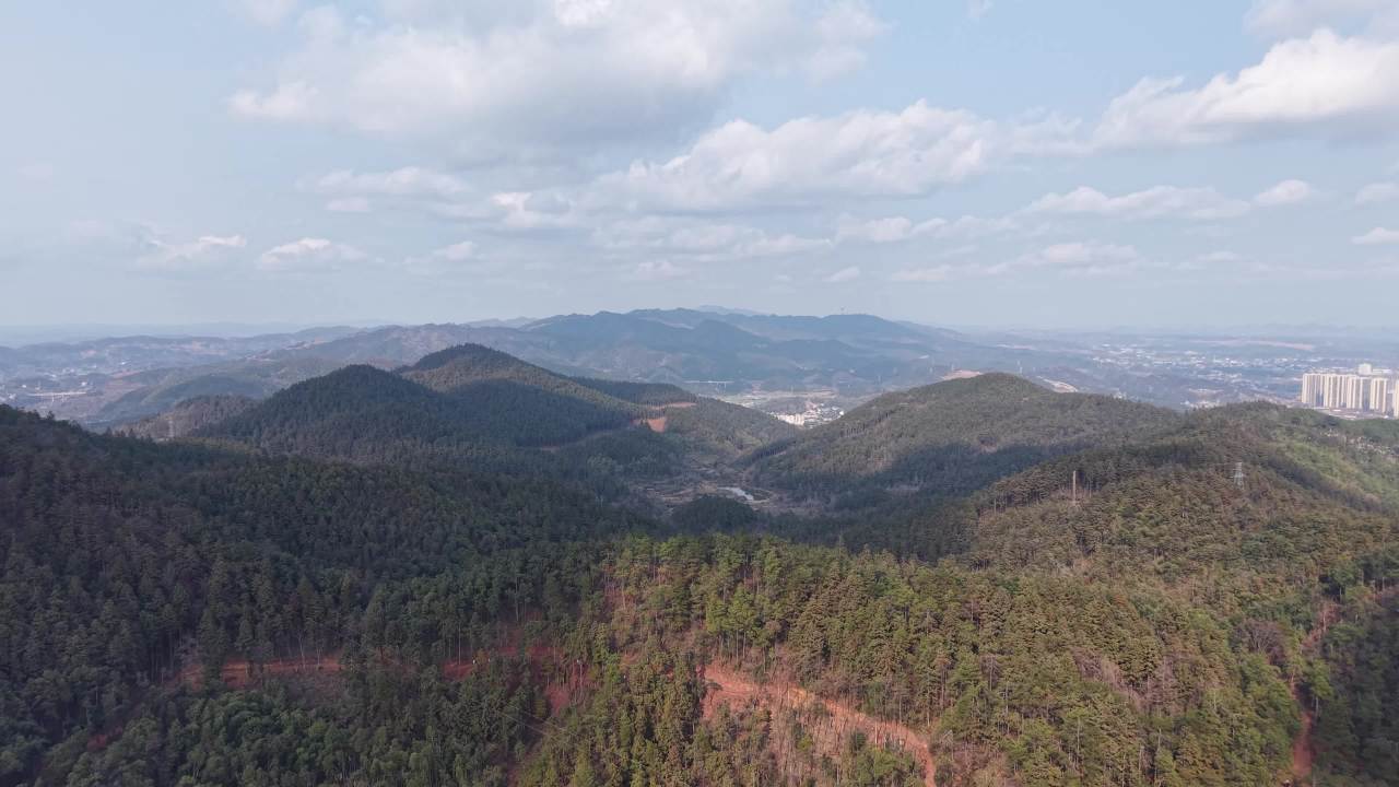 山间森林与城市的和谐共存