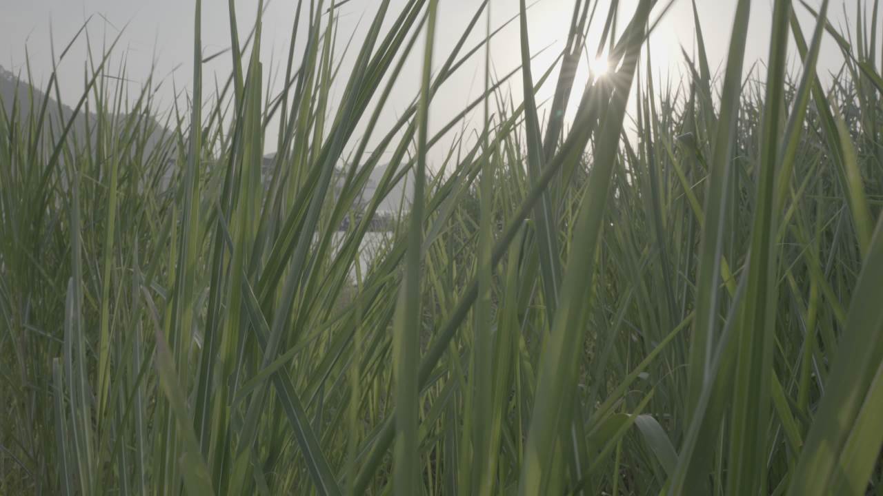 宜昌江边 44