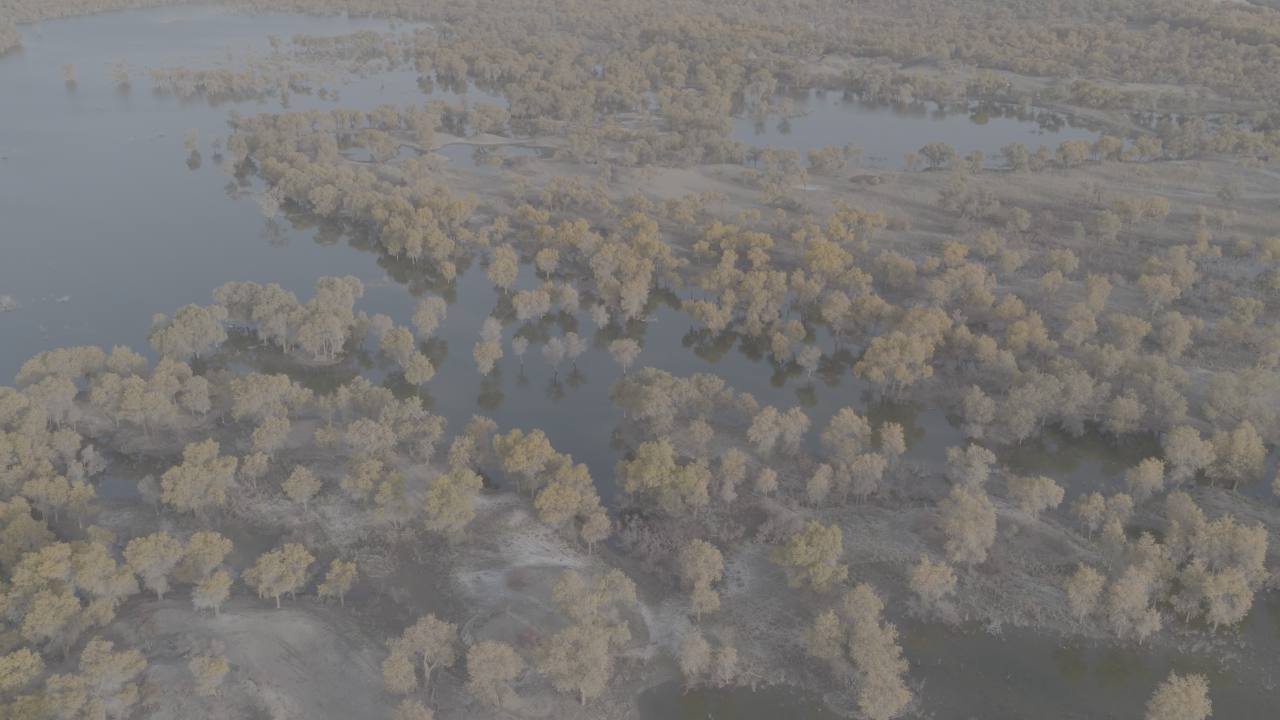 航拍湿地河流景观