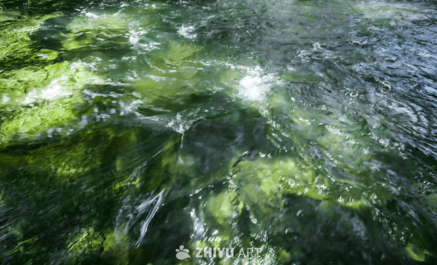 树是另外一种海