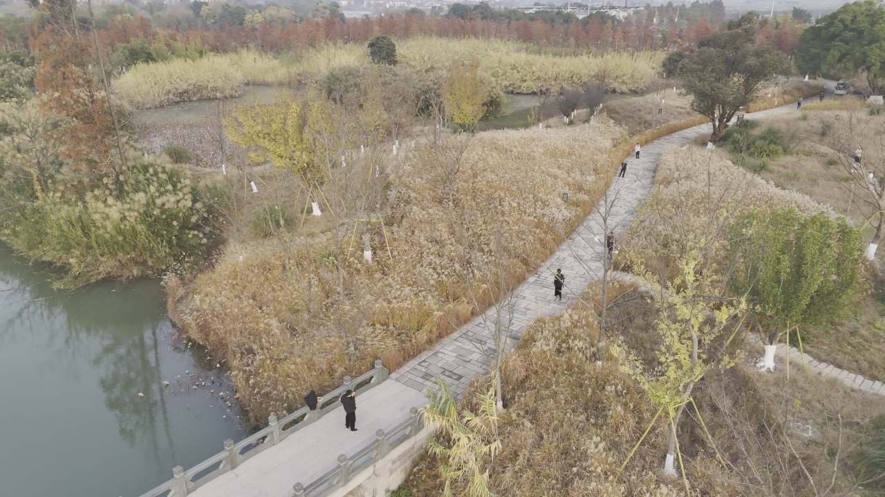 冬日的湿地 33