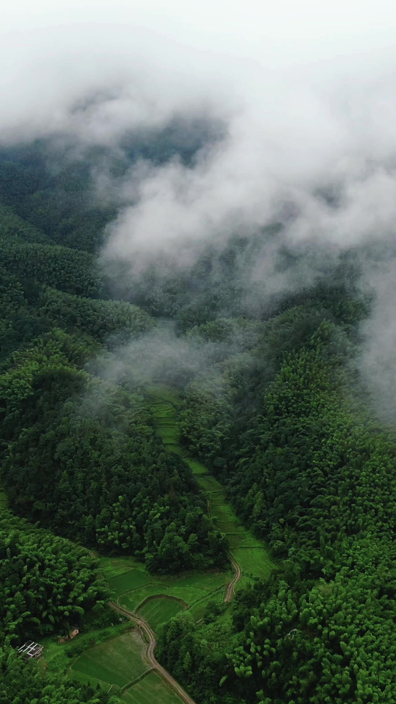 旅游景区 湖南 大围山 国家 森林公园