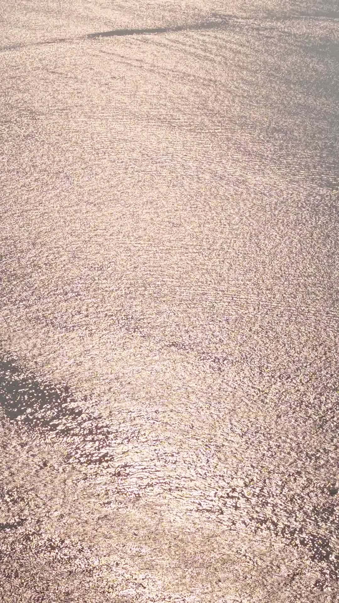 静谧的水面