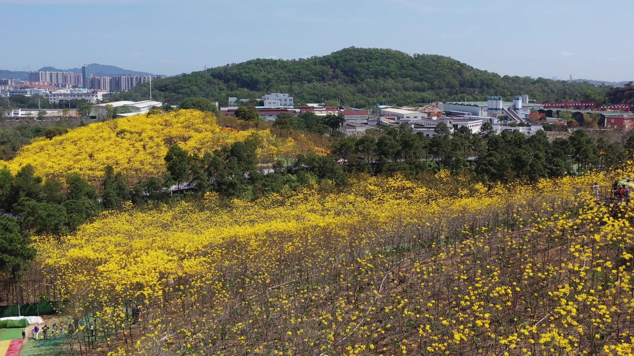 中山南朗云梯山