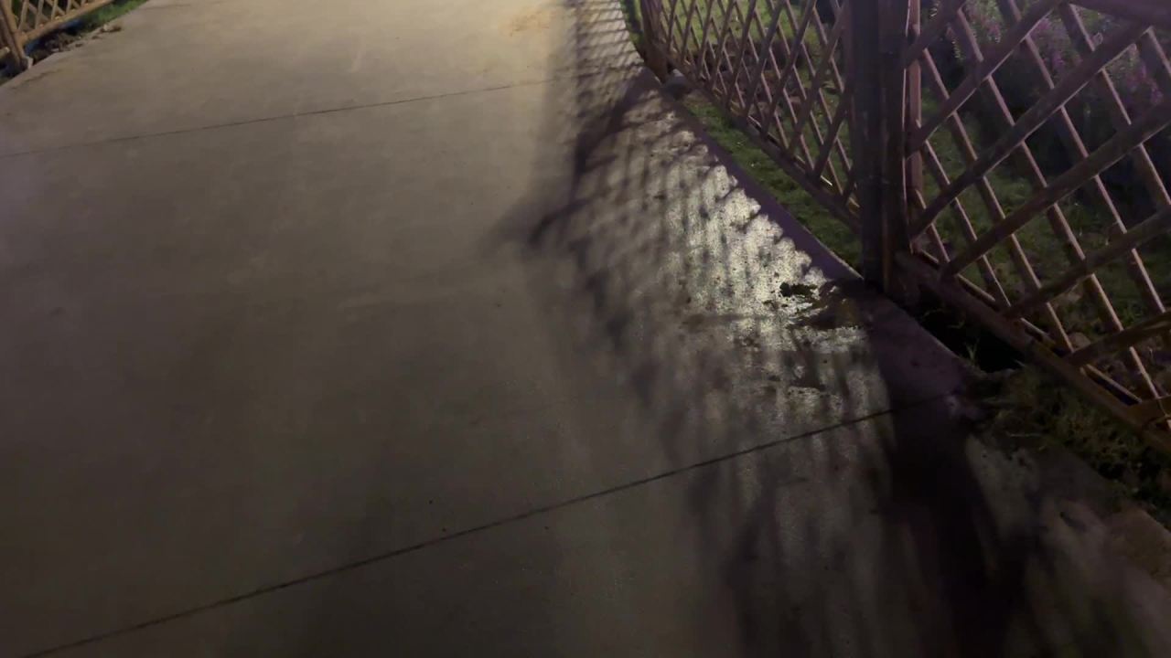 夜晚的浪漫