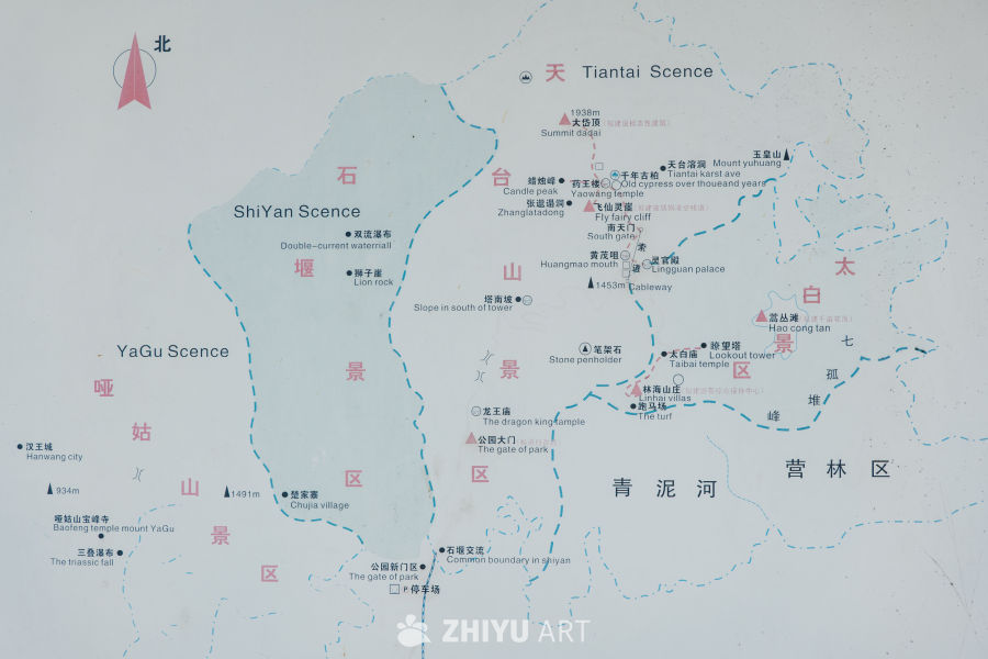 森林公园 42