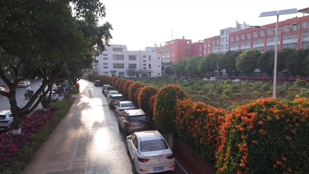 晨光中的城市街景