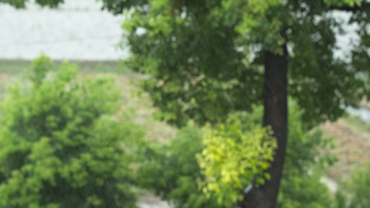 阴天下雨水滴雨滴天气 27