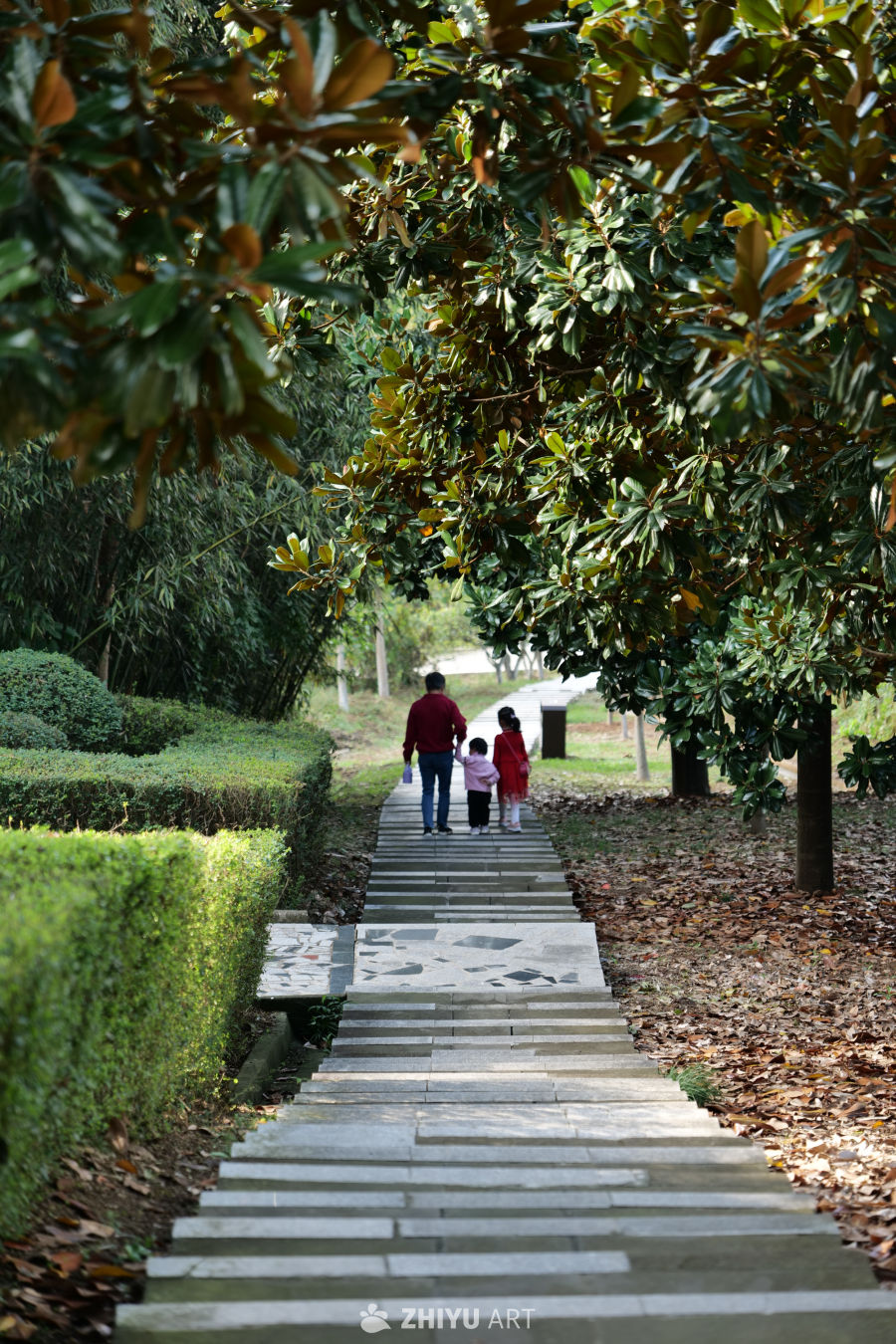 朱鹮梨园景区 25