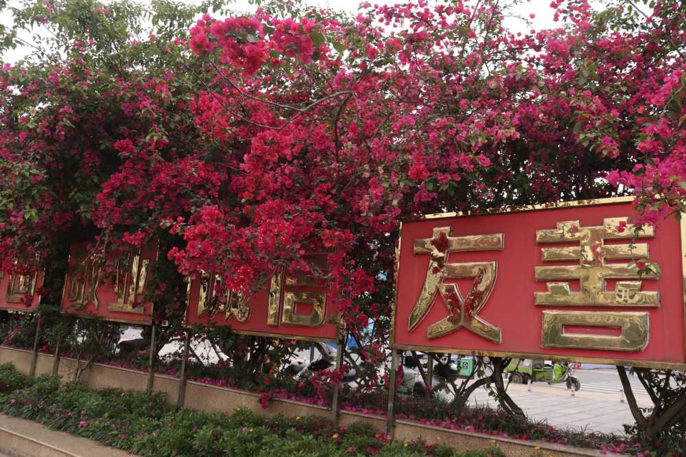 友善
