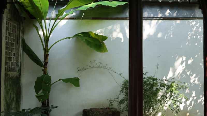 静影