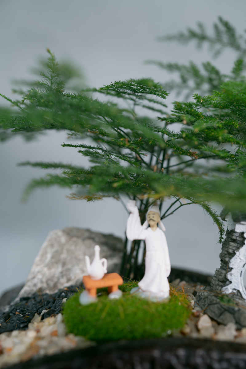 盆栽、插花 30