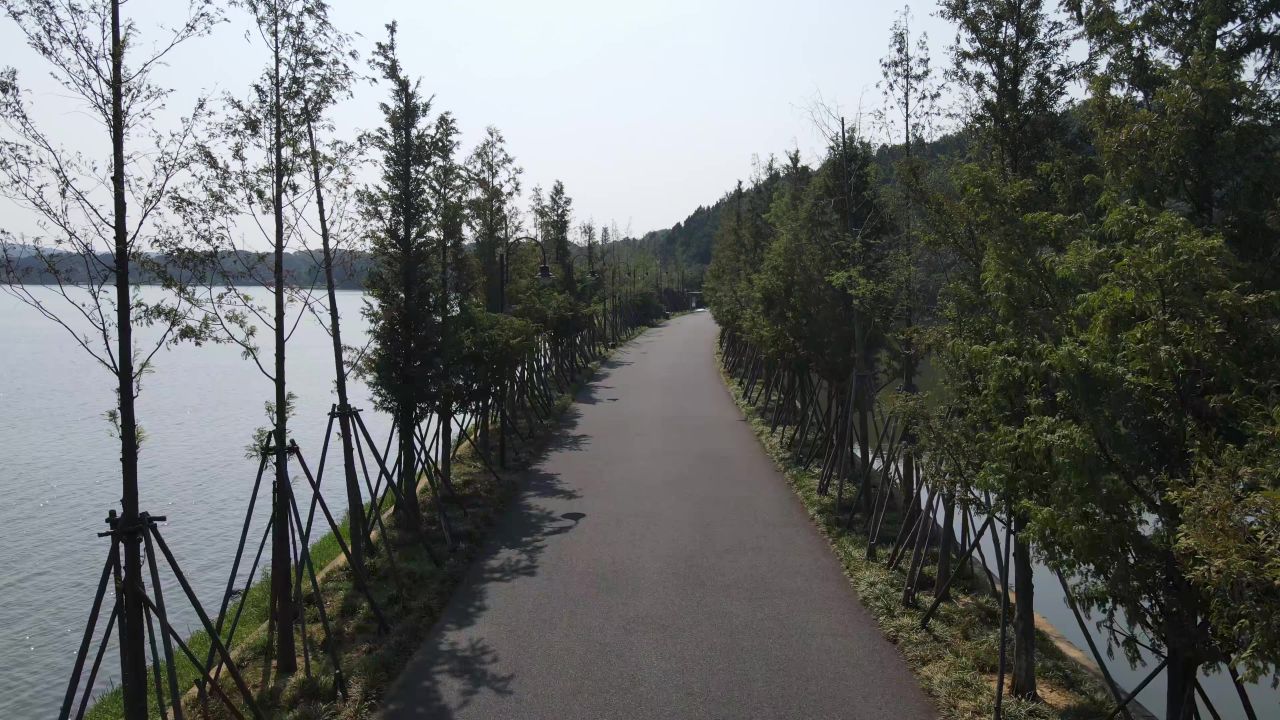 湖面唯美步道风景航拍