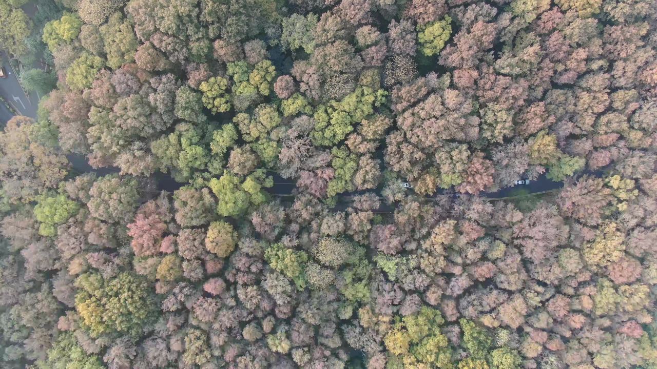 江苏 南京 中山陵 5A景区 航拍