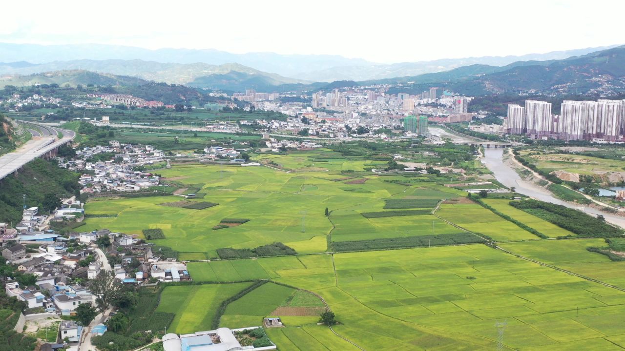 城市、稻田 11