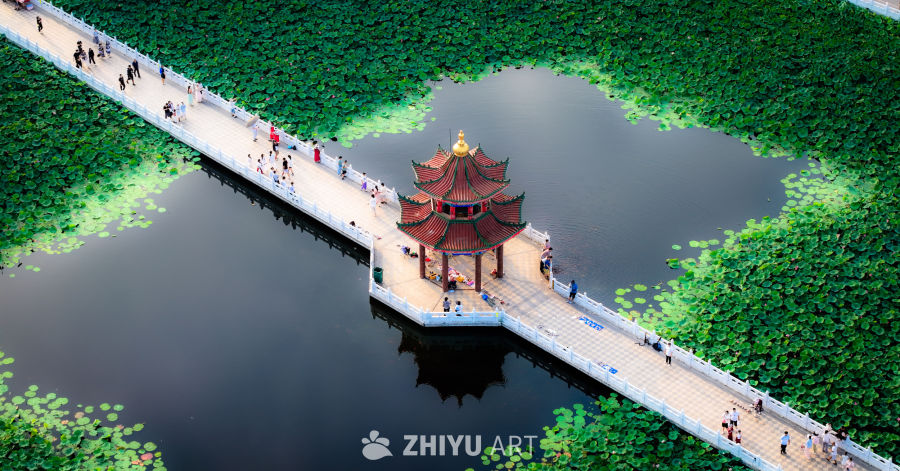 古典园林带来的中式美