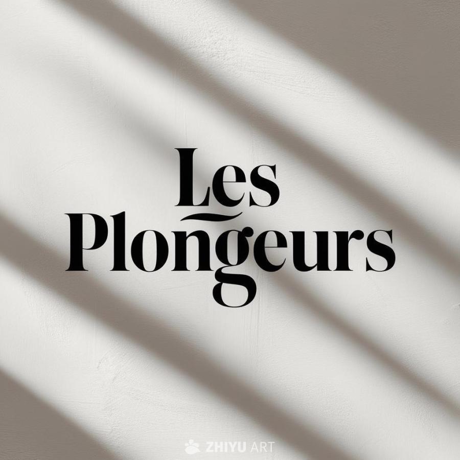 白色背景上，黑色字体显示“Les Plongeur