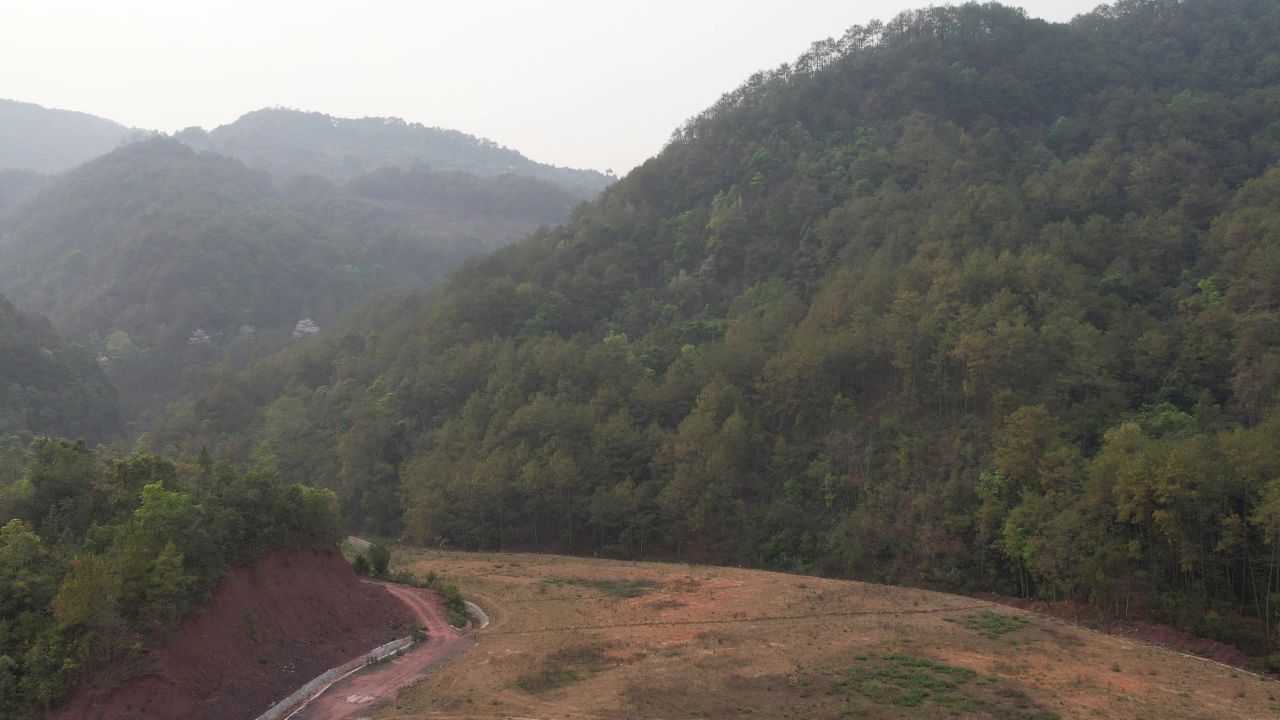 山谷森林秋天