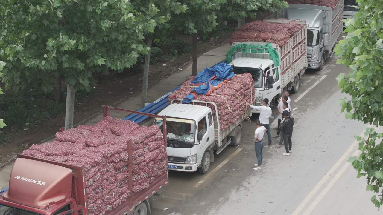 洋葱装载与搬运