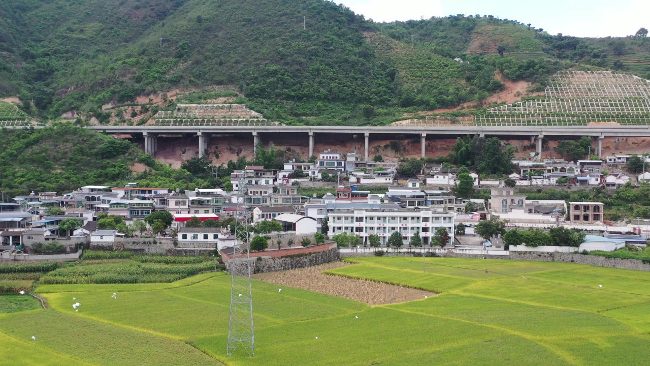 城市、稻田 3