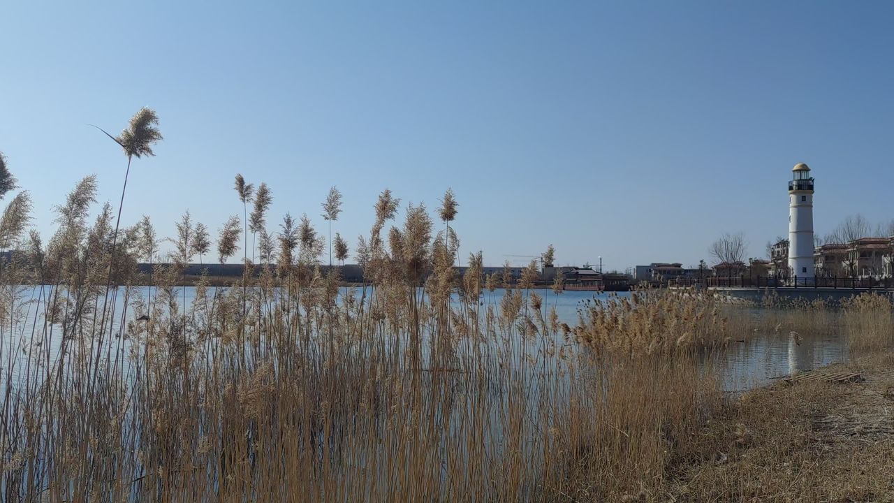 湖景