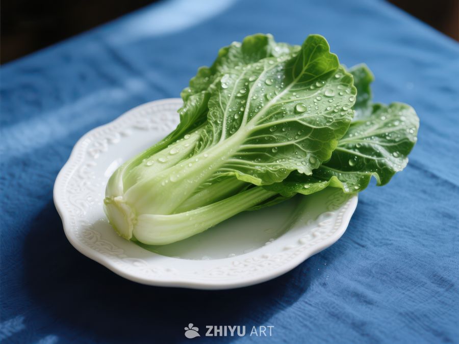 新鲜小白菜置于白色盘中 751