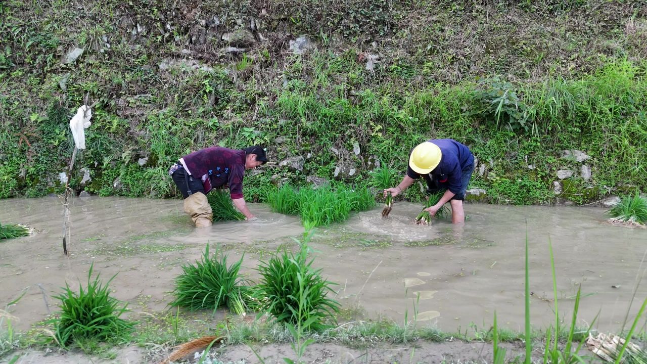 贵州网红加榜梯田航拍 7