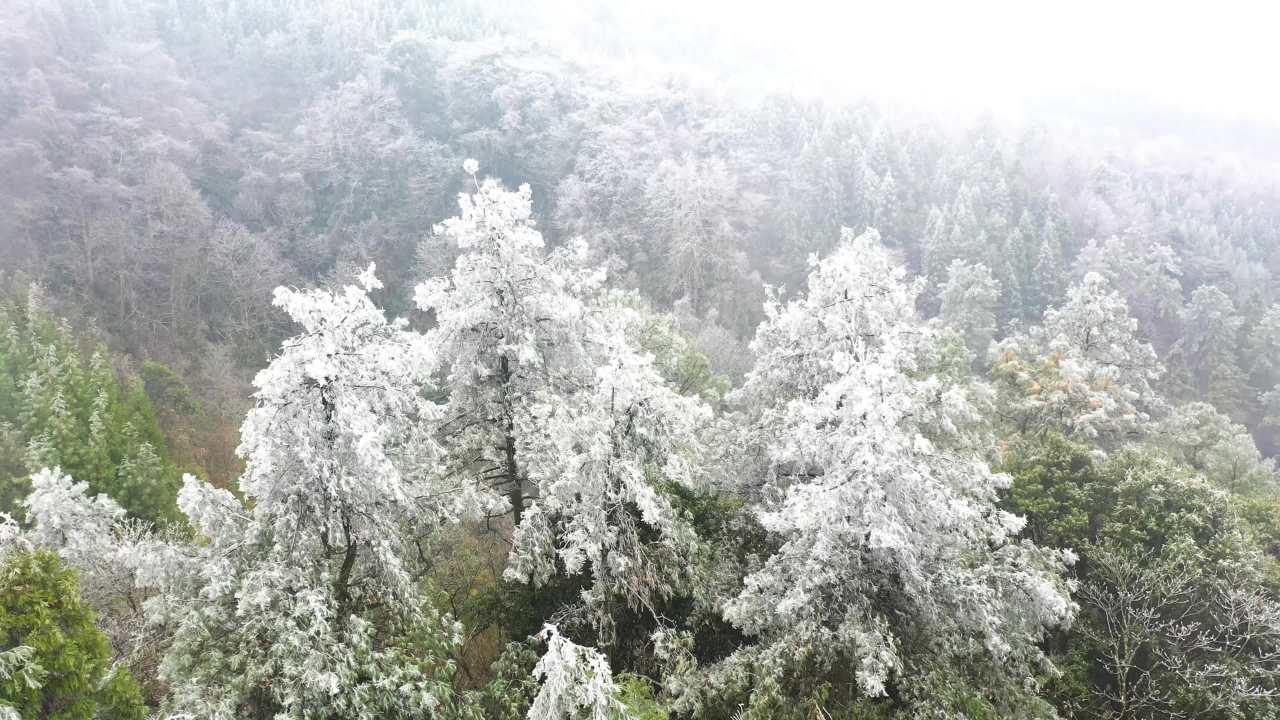 4k航拍山区 森林雾凇  冬季寒冬森林