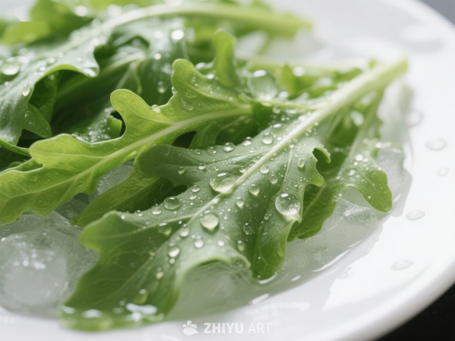 新鲜绿叶蔬菜上的水珠 538