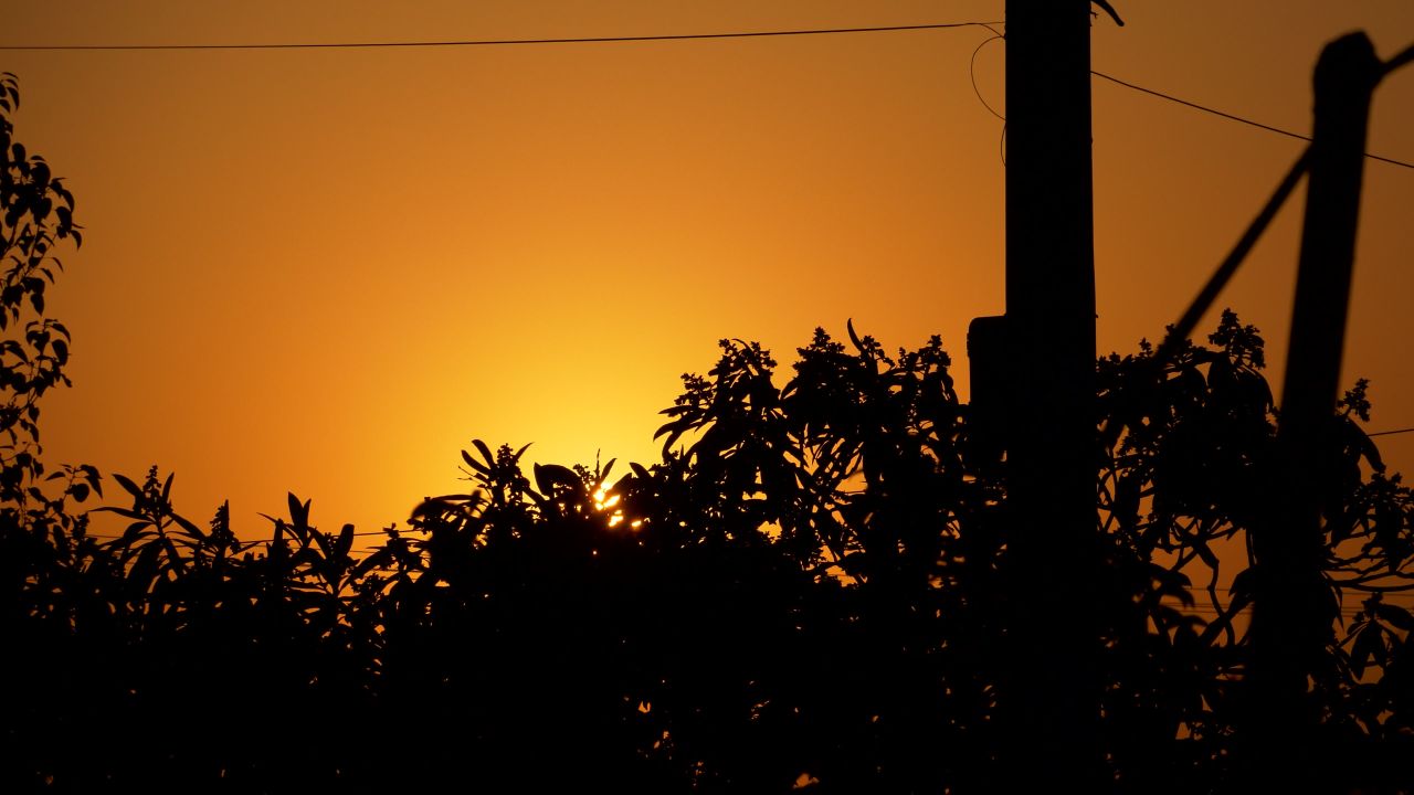 金色夕阳