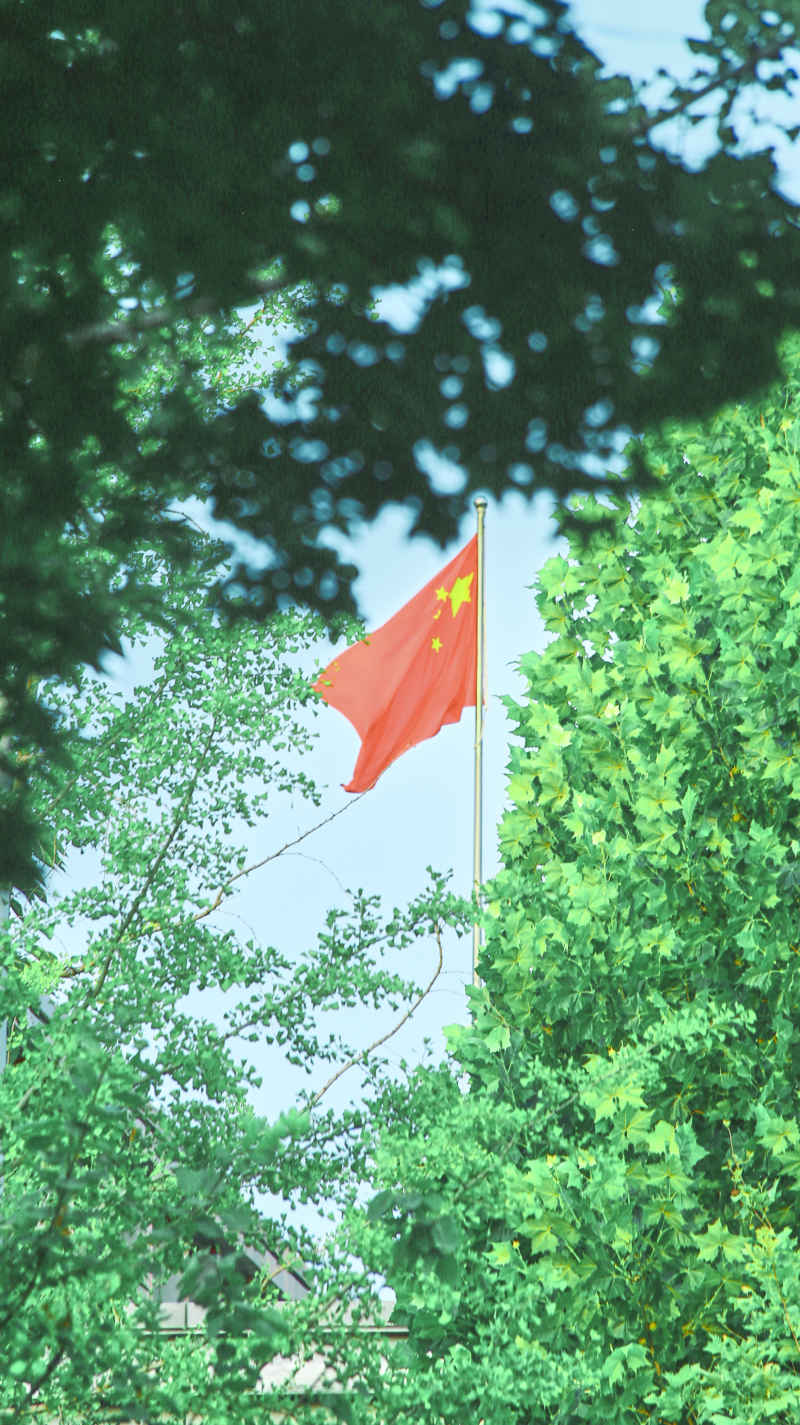 光影 43