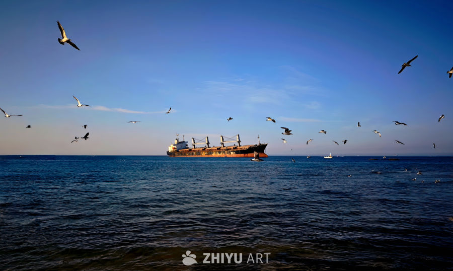 布鲁威斯号组图 7