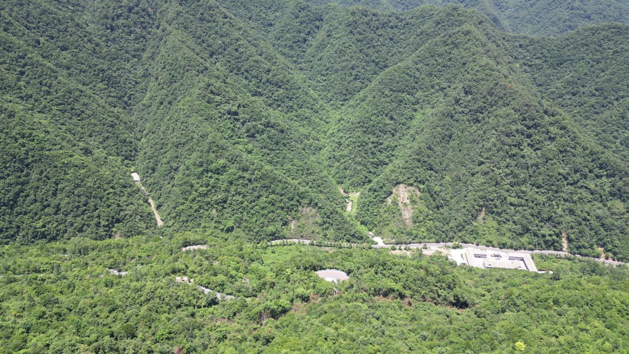 航拍湖北神农架林区森林植物