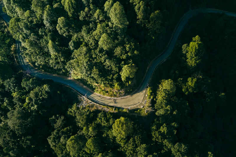 航拍森林道路