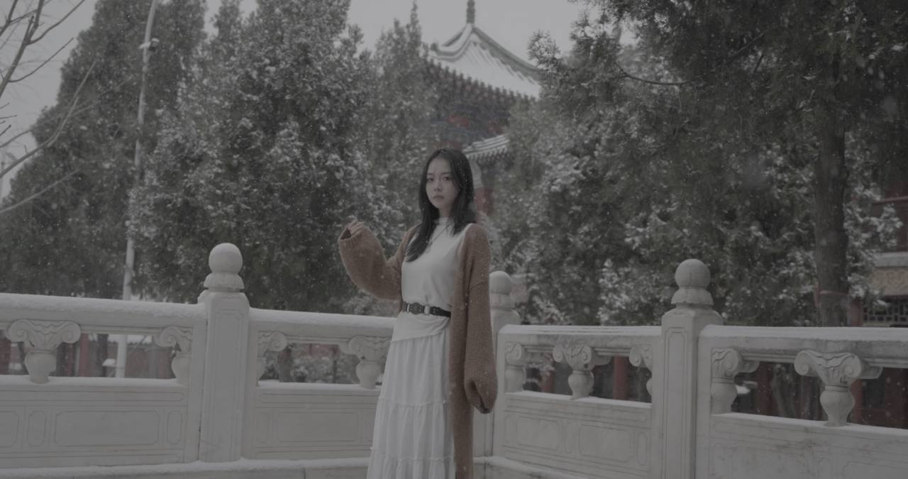 A_0003C337H251212_161710M6_CANON