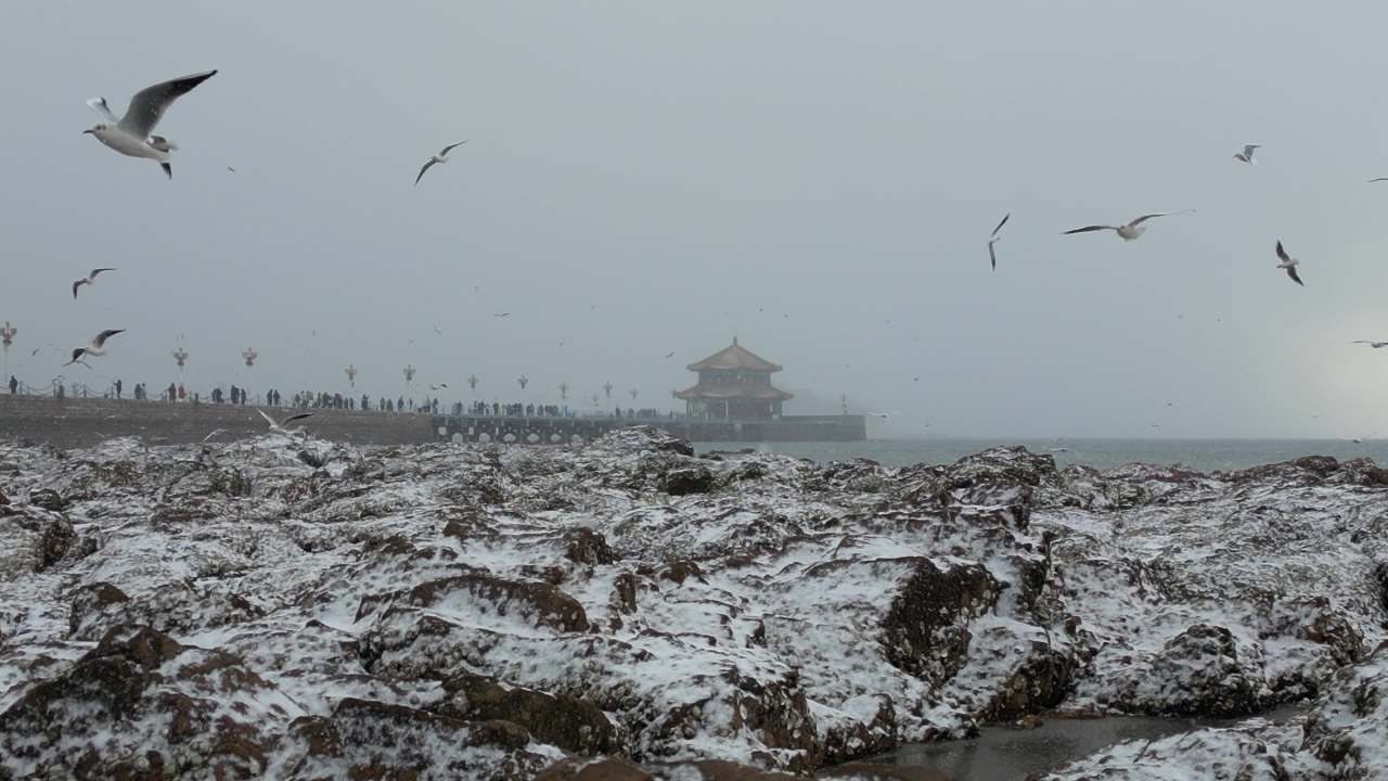 青岛市南老城区栈桥海边雪景航拍 1
