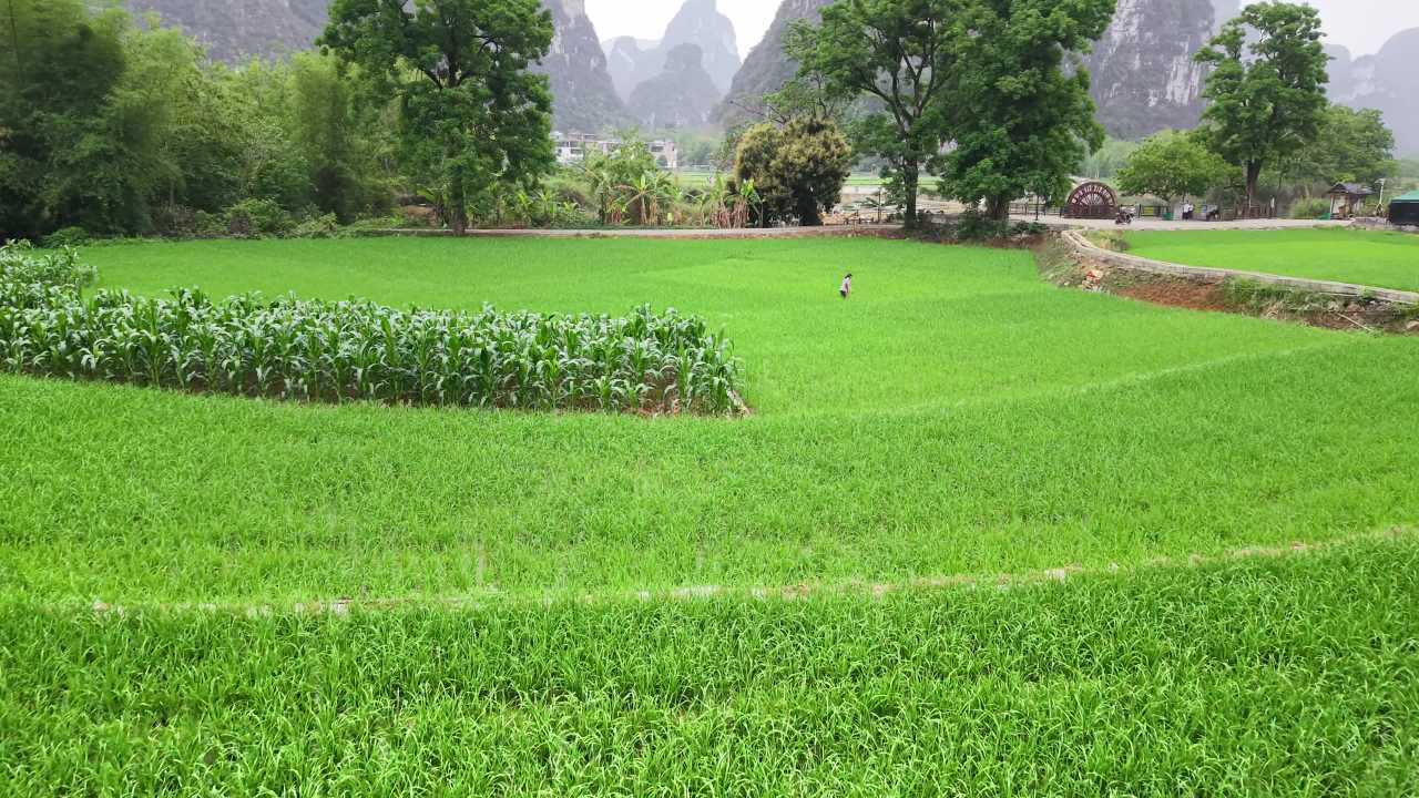 乡村 47