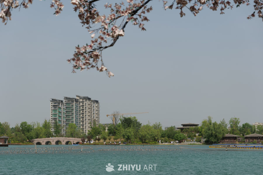 景区一角 75