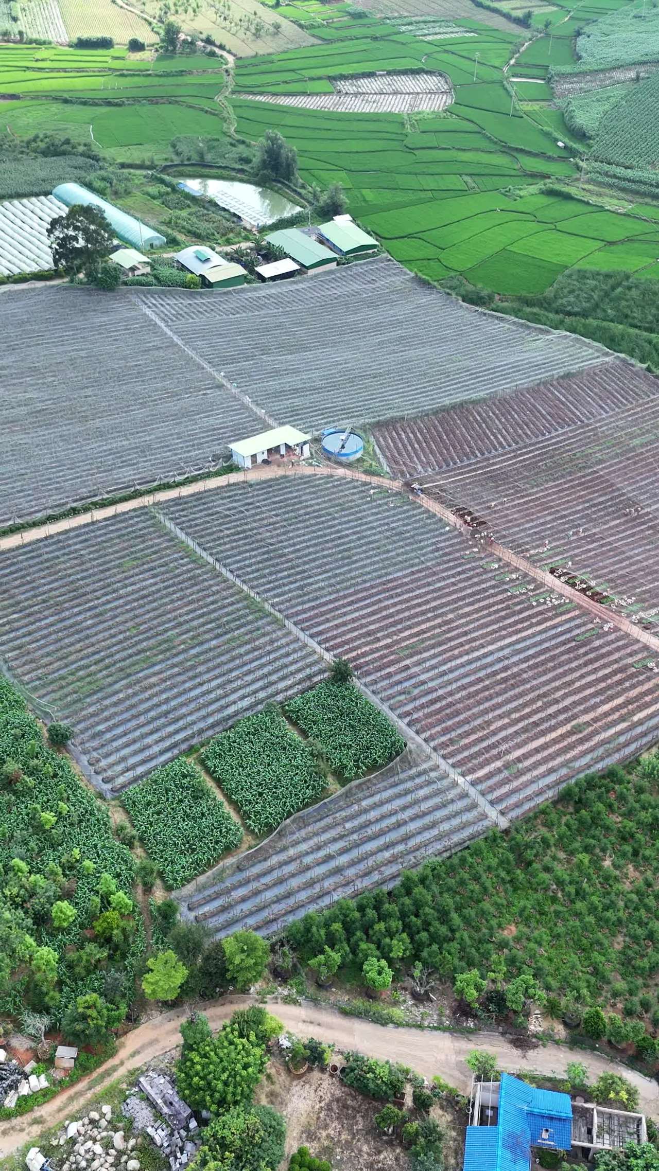 田园风光航拍
