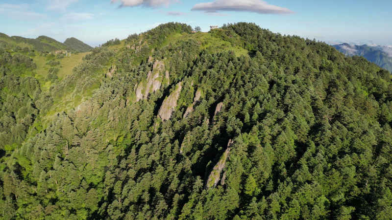 航拍湖北神农架大山石林