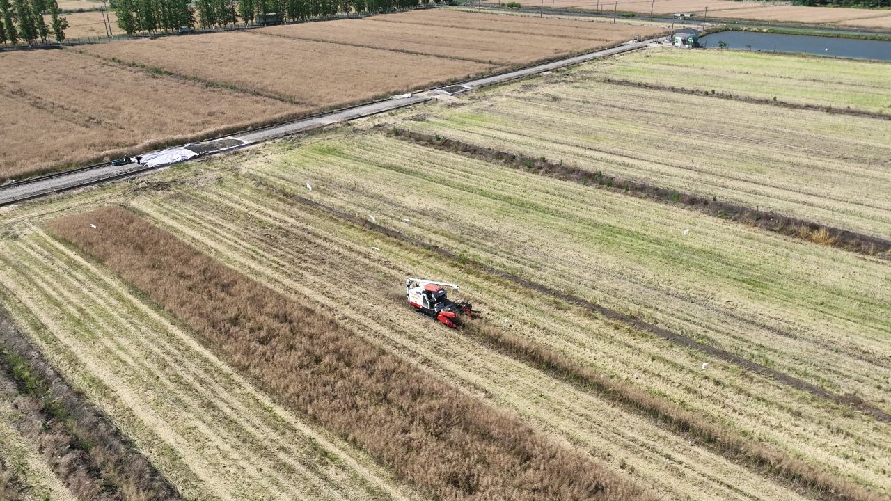 4K航拍昆山农业夏收 24
