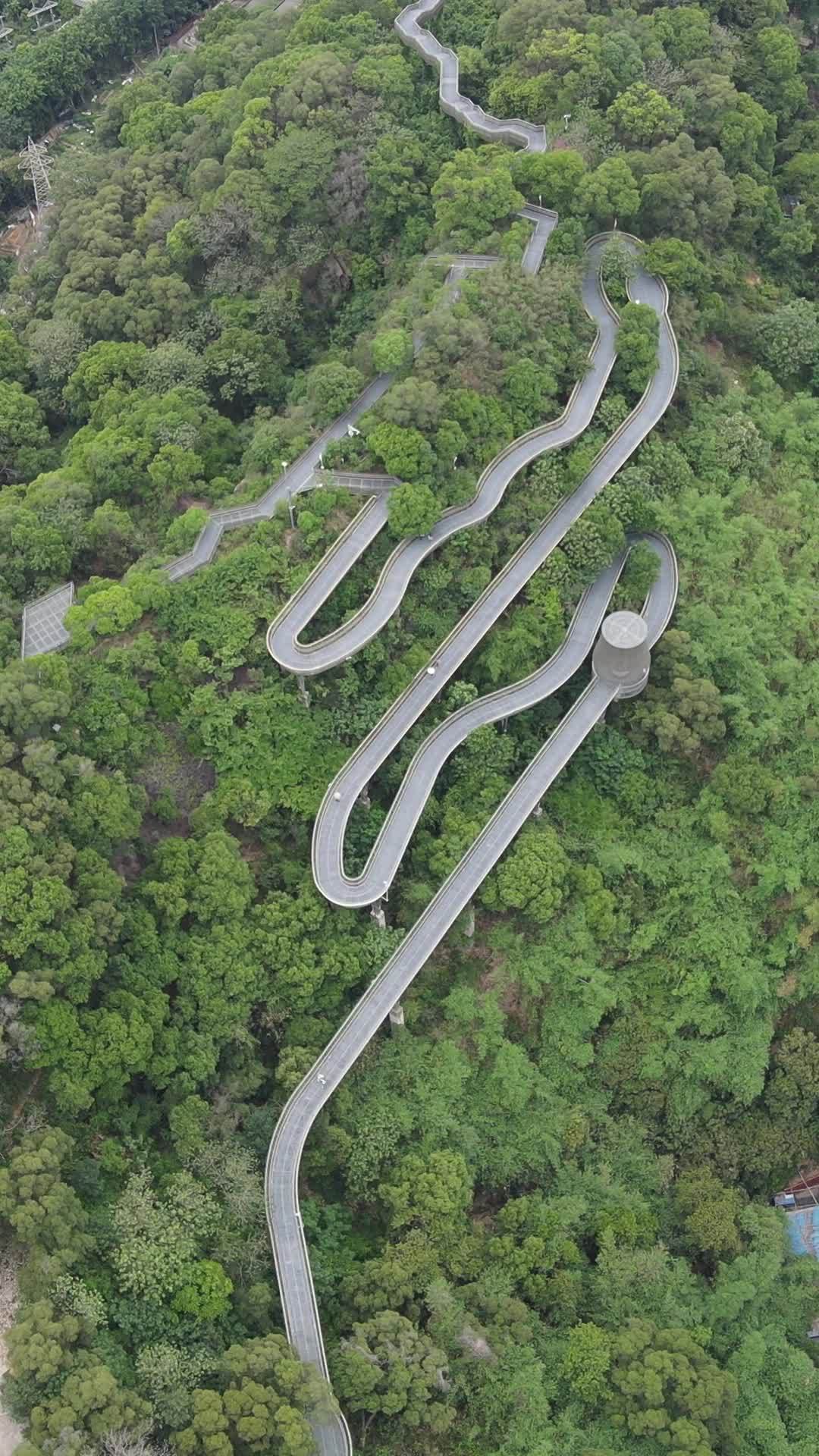 森林中的蜿蜒之路